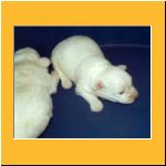 0003-Wochen_Wurfkiste.html