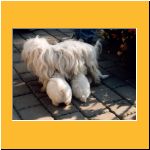 0006-Wochen_Saeugen.html
