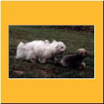 2001-Sommer_UrlaubBenji2.html